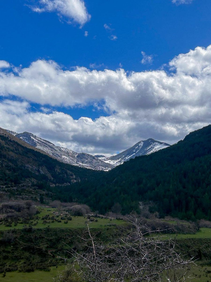 jorditurull's tweet photo. #JosaDeCadí - #RutaDeCerneres- #ElCollell - #JosaDeCadí.
Una excursió meravellosa per una vall on mana el silenci absolut sols
trencat pels sons de la natura, on hi ha els misteris d’un poble derruït i abandonat, i on en tot moment gaudeixes d’unes vistes precioses.
#PaísMeravellós