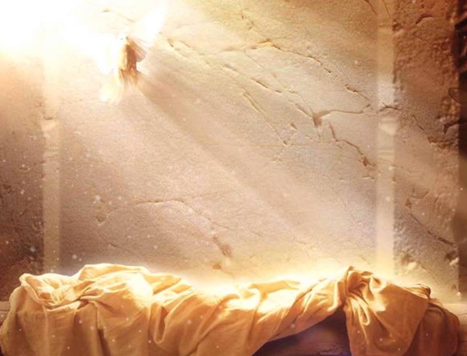 YourSpeech tweet media