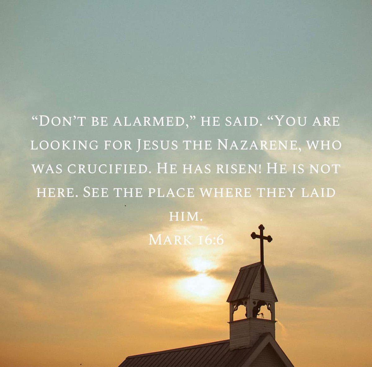 MayorStallings's tweet photo. Have a Blessed Easter! He is Risen! https://t.co/bPkU6S2TzV