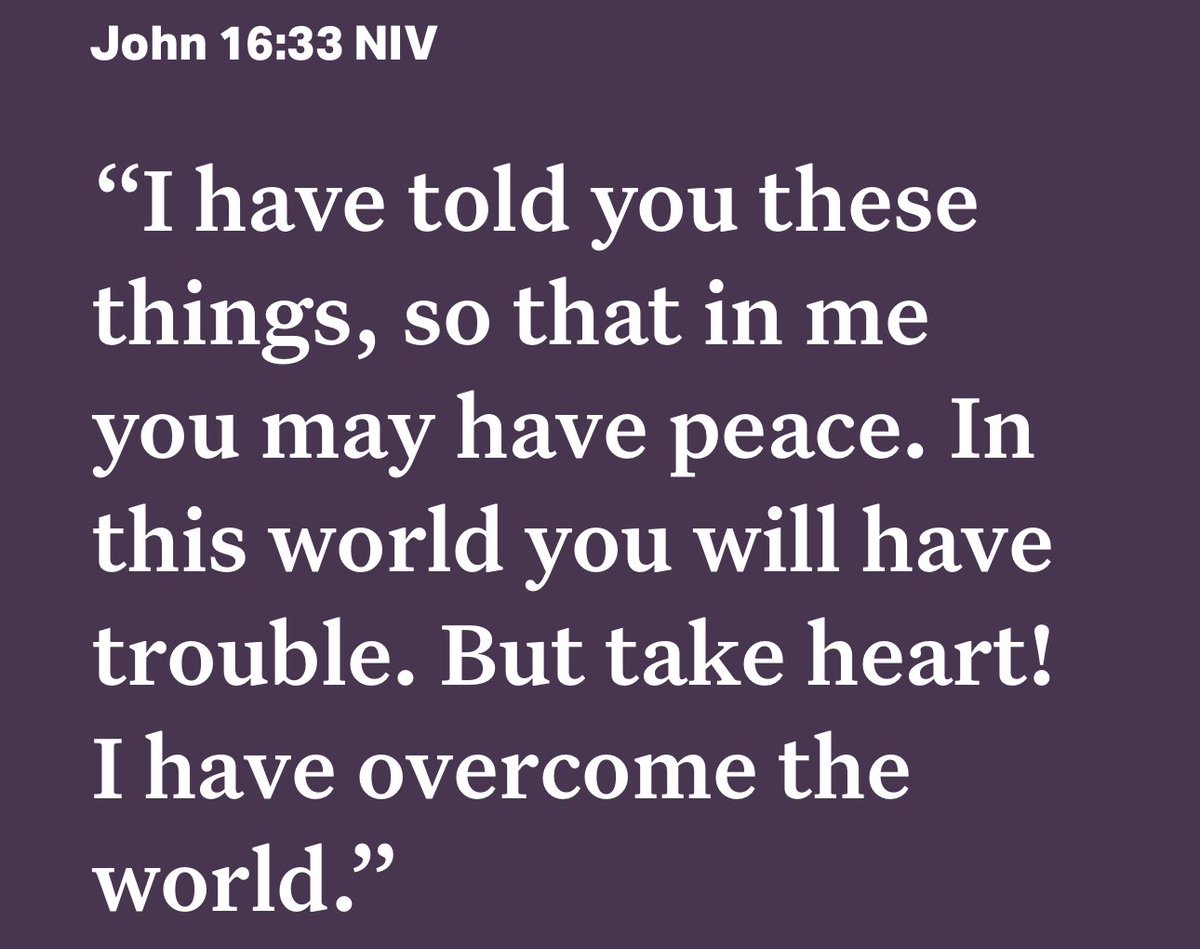 Ranah Akua Stoiber tweet media