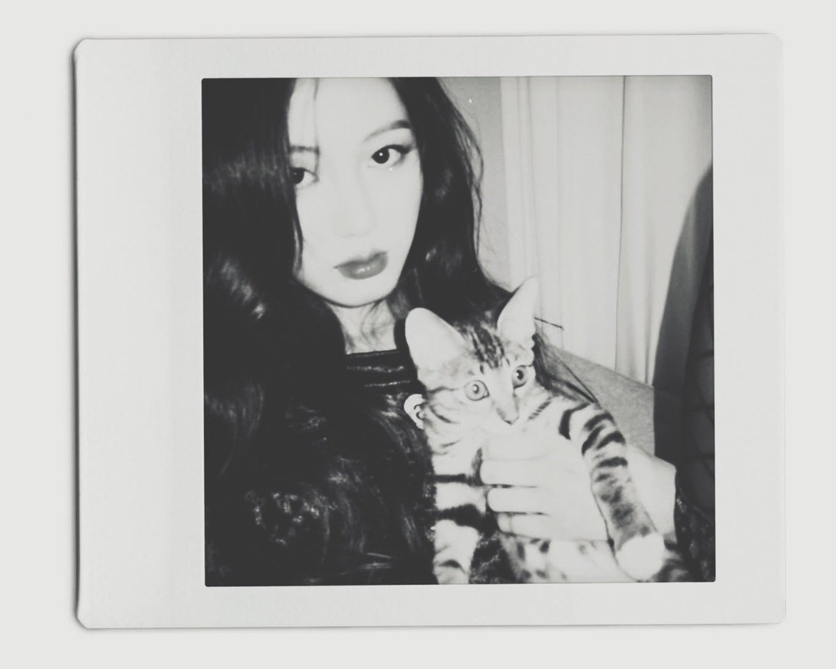 aunbin's tweet image. say hi to my little purring chaos!