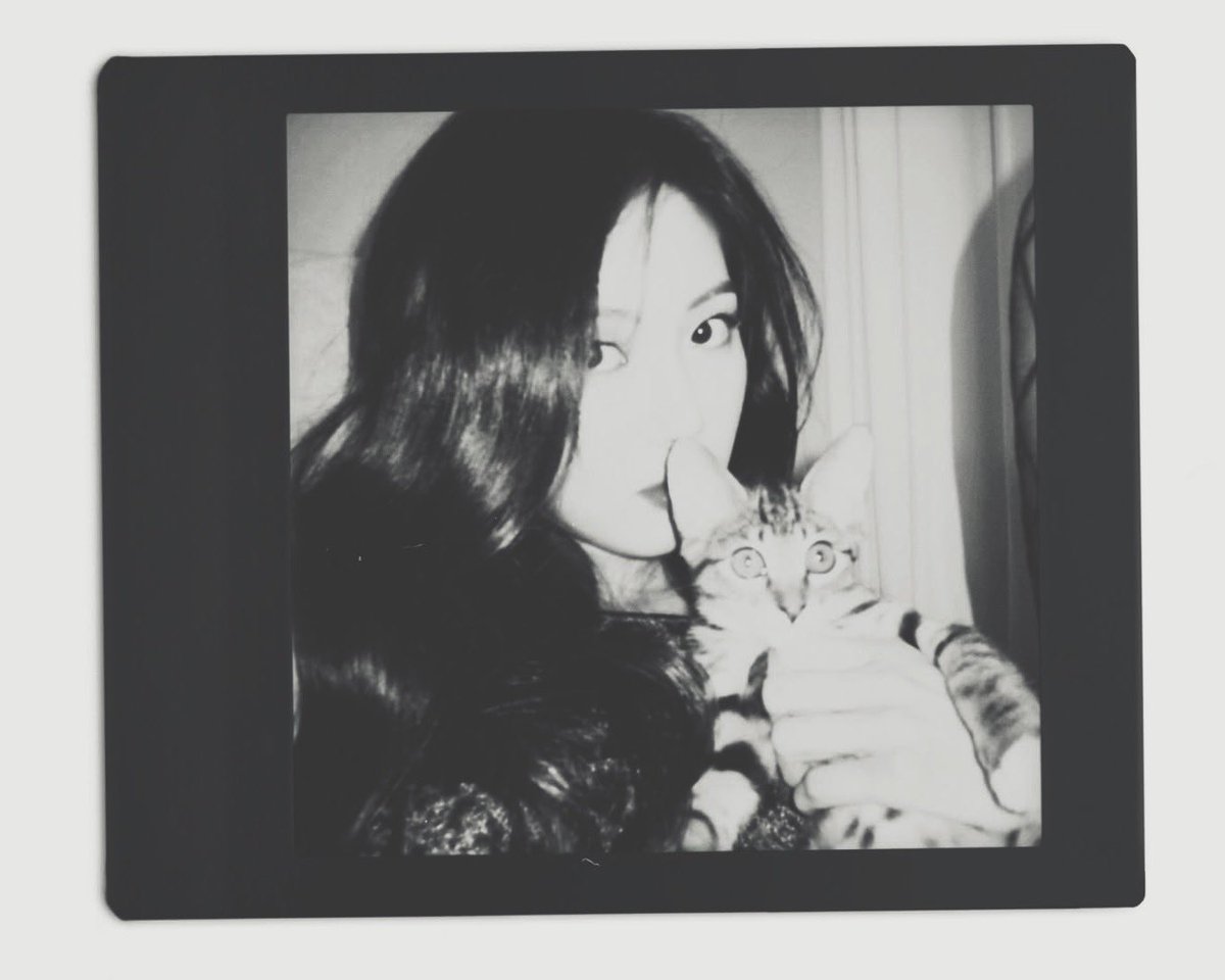 aunbin's tweet image. say hi to my little purring chaos!