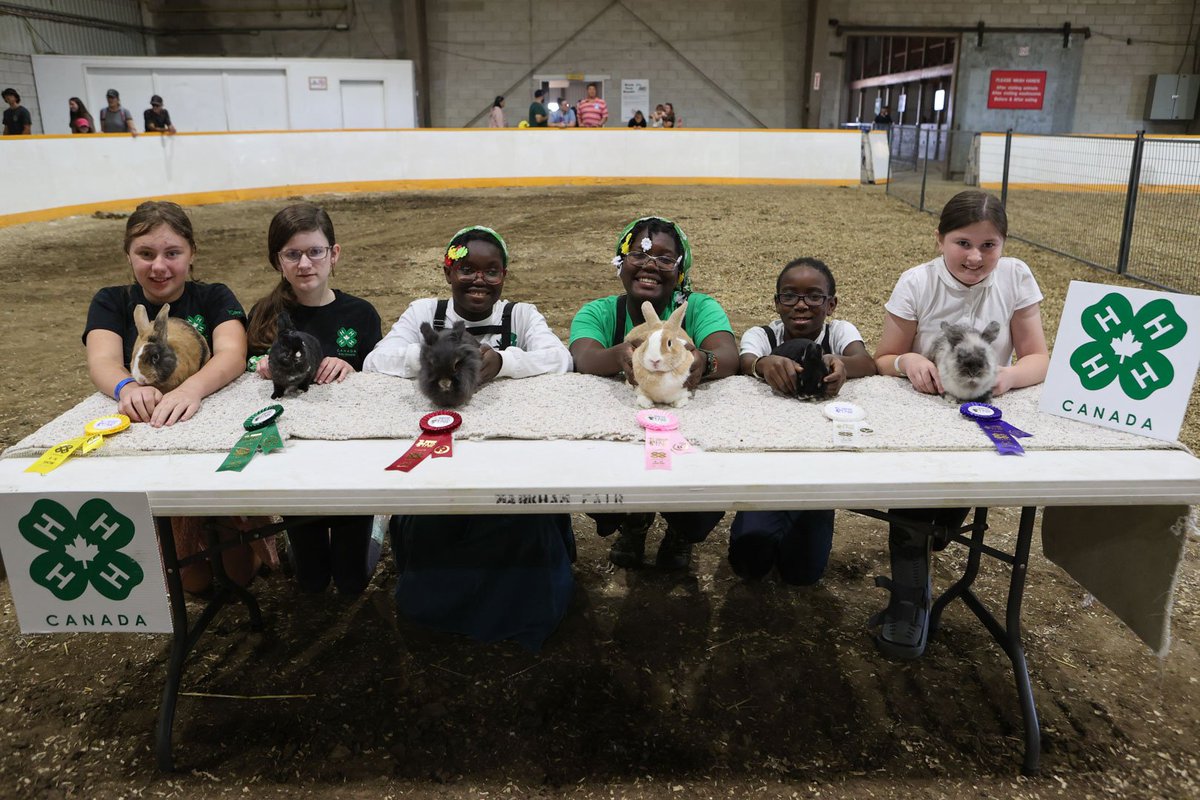 markhamfair's tweet photo. Wishing our fair family a Hoppy Easter! π°β¨ From fair fashion to our adorable 4-H rabbits, we're celebrating with a couple of our favourite bunny moments from last year's Markham Fair! #HappyEaster #MarkhamFair #4HShow https://t.co/mirjcZHSIH