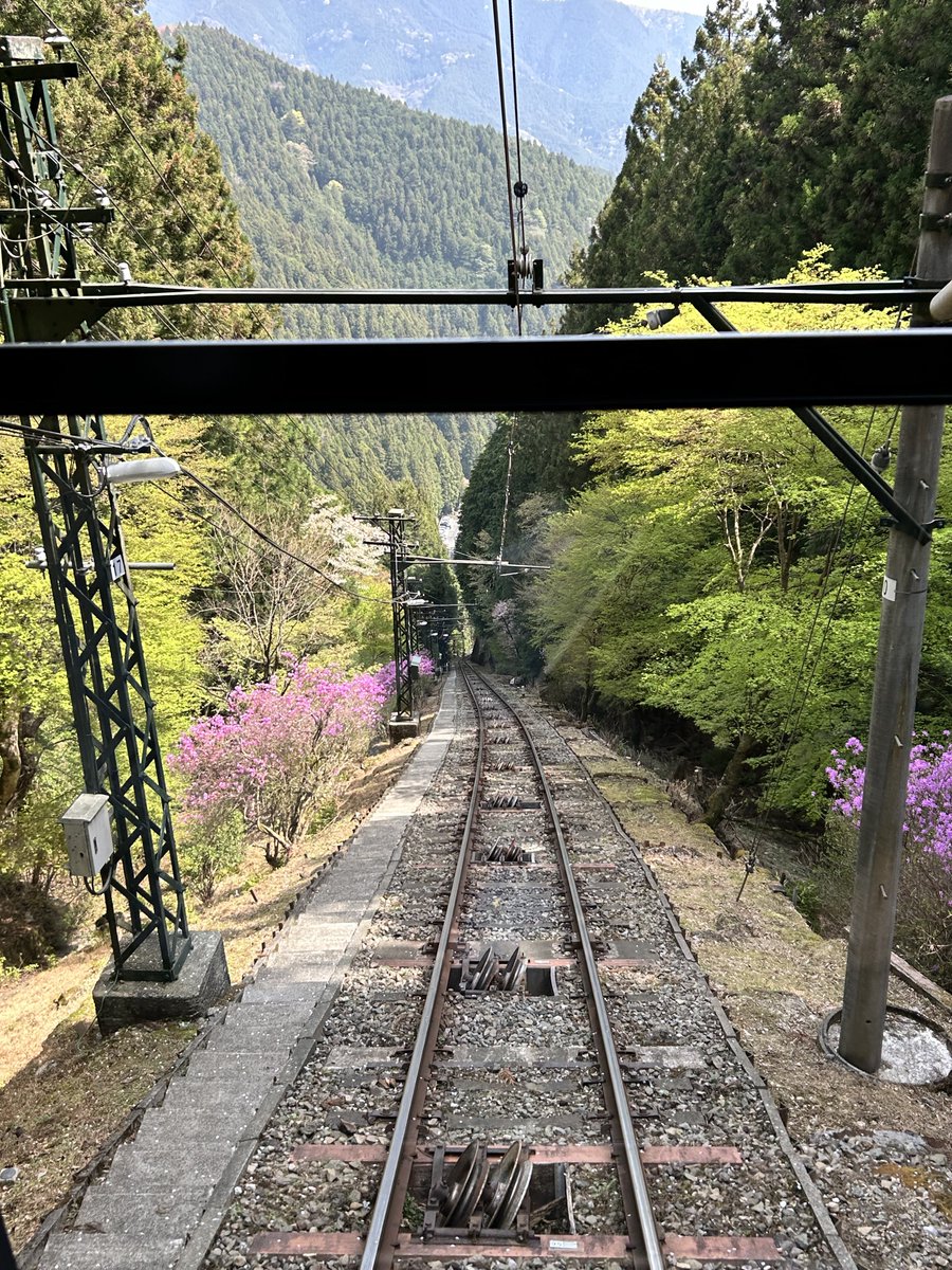 wangeluec's tweet photo. 新歓登山に日の出山へ行ってきました‼️
上の方はまだサクラが咲いてました🌸
ケーブルカーに乗り下山後は温泉にも入って結構盛りだくさんでした✌️

p.s.顔隠すの大変だった😩 https://t.co/Eh6VGpEVD7