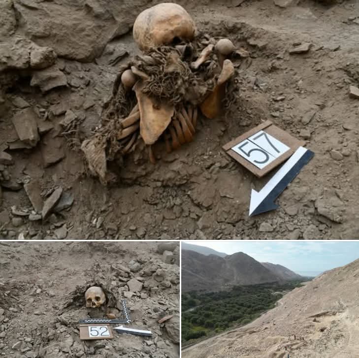 🚨#ARCHAEOLOGY: Massive circular tomb unearthed in Peru’s El Curaca site! 24 battle-scarred skeletons of the Chuquibamba (Aruni) people, dating A.D. 1000-1450, found by Jósef Szykulski’s team from the University of Wrocław.

 Excavation began Oct 2024—offers new clues on pre-Inca