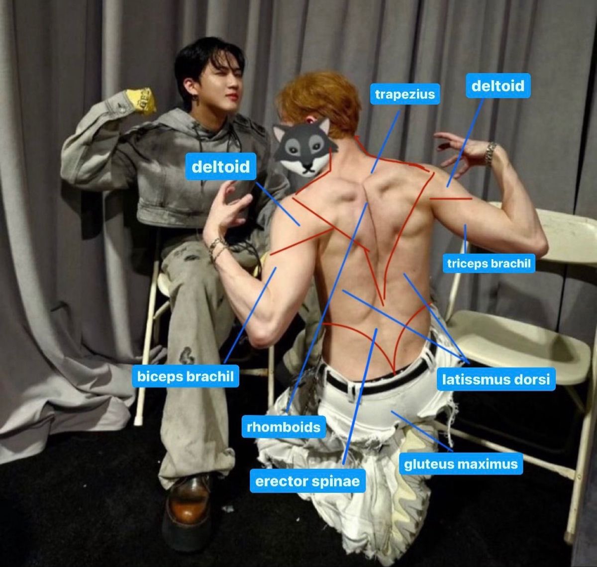 never let people tell you kpop is a waste of time.. stays were literally studying anatomy off of chan’s back pictures
