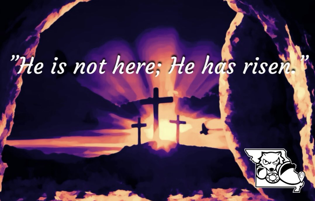 Nuts Baseball tweet media