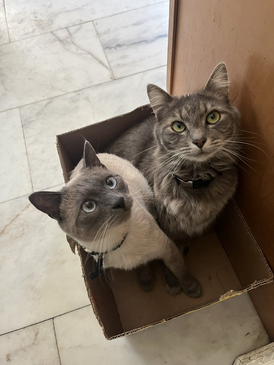 _Marybeee's tweet photo. My boys 🥹❤️ #cuddlebugs #brotherthings https://t.co/855hVUVDMB