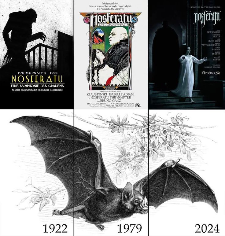 Tatiana Fajardo tweet media