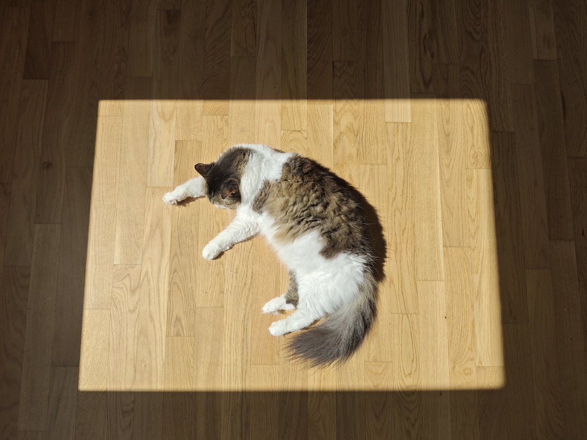 сегодня хотя бы тепло