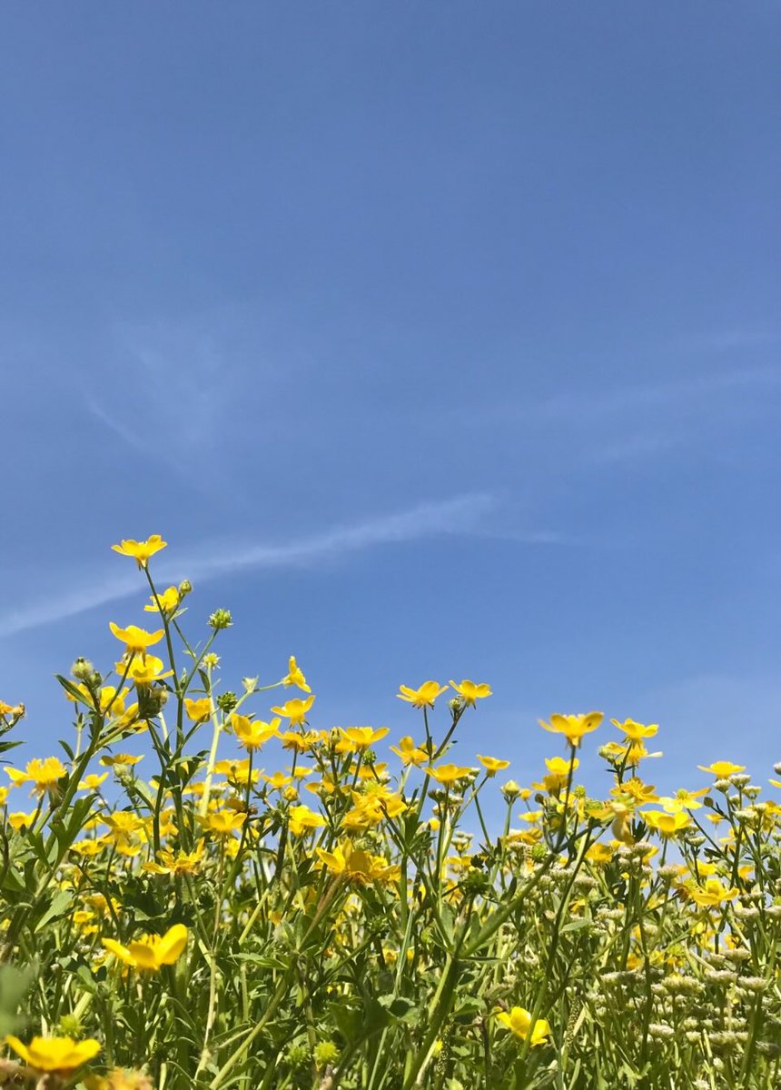 hall863's tweet photo. Who Is This Jesus? An 8 Day Meditation for Holy Week ~ Day 8

https://t.co/SBXcJR5djm https://t.co/Hk9CRWYiaK