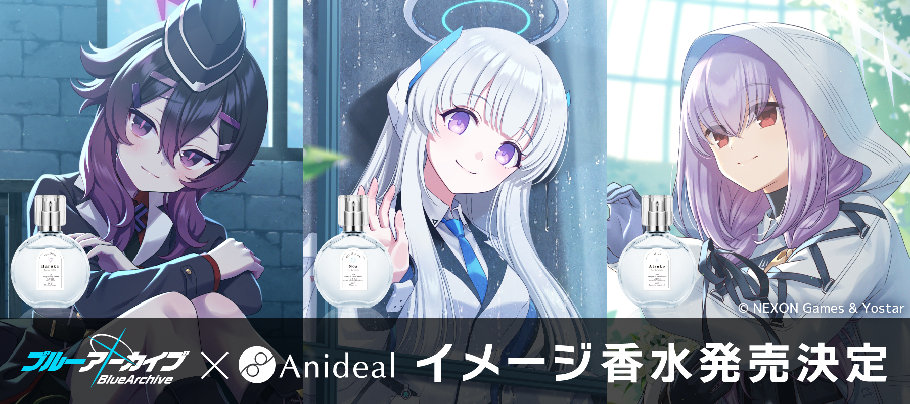 Anideal_info on X: 