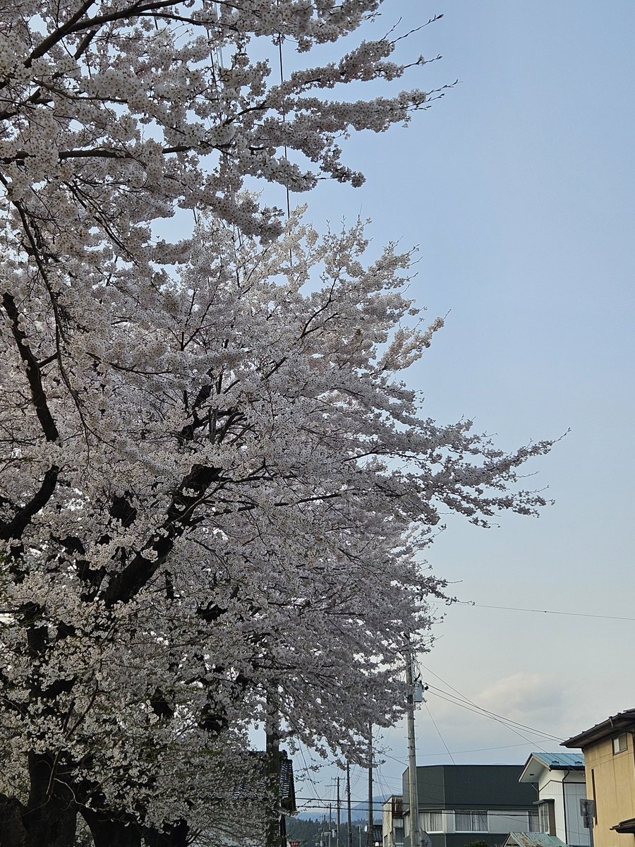 nCSEbrRDNSeLPHP's tweet image. 