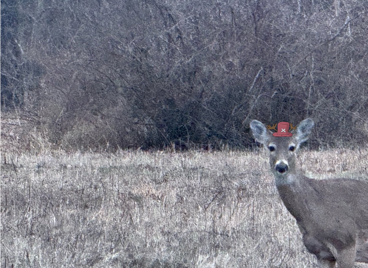 deerdolson's tweet image. Making these are fun