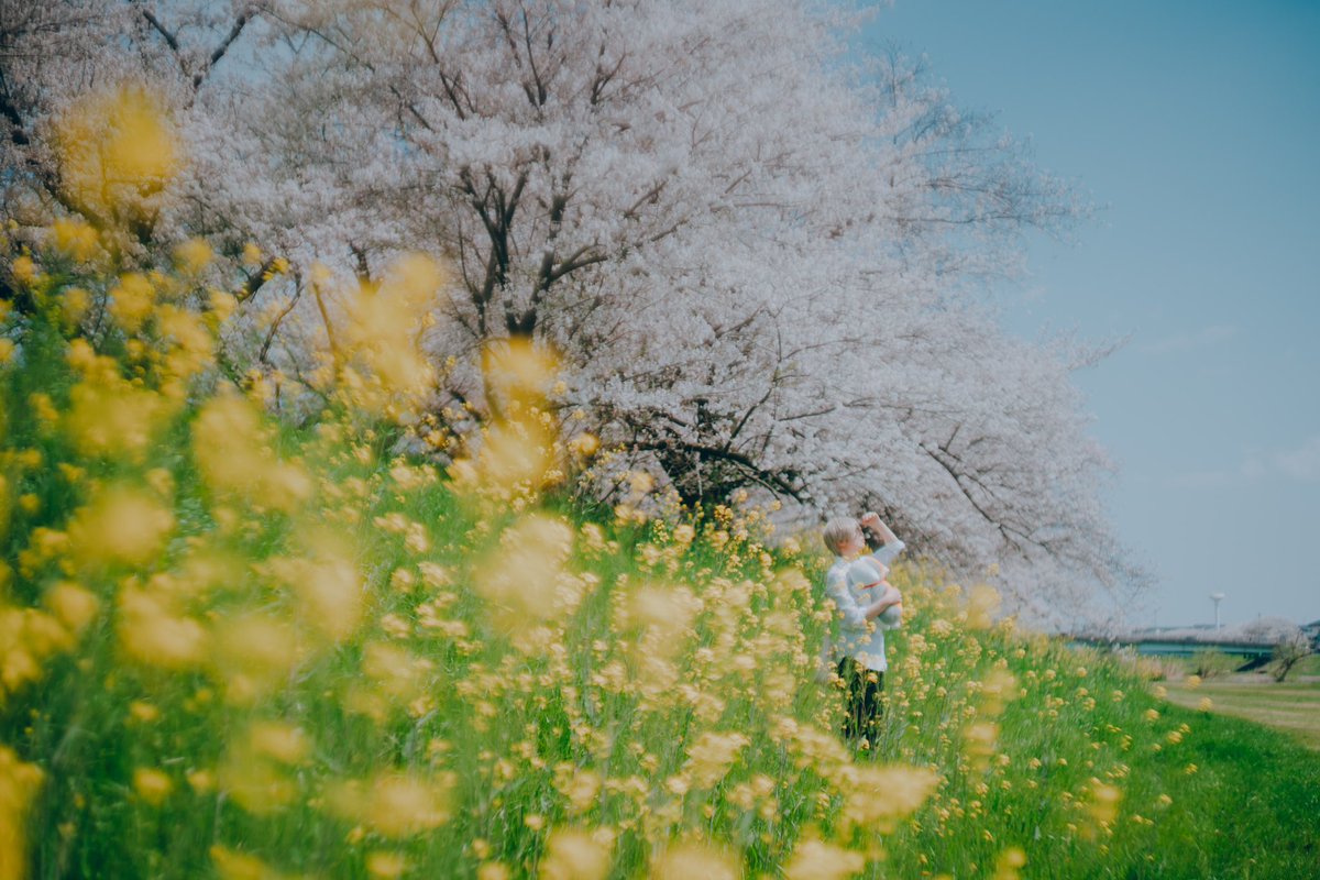 【  cosplay  】

夏目友人帳
夏目貴志 <a href="/6aisei/">咖喱屋･愛睲(ｱｲｾｲ)</a> 
__________________

きれいだね、先生