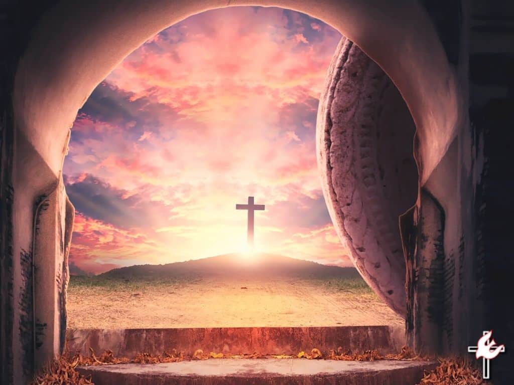 Hunter Thomsen tweet media