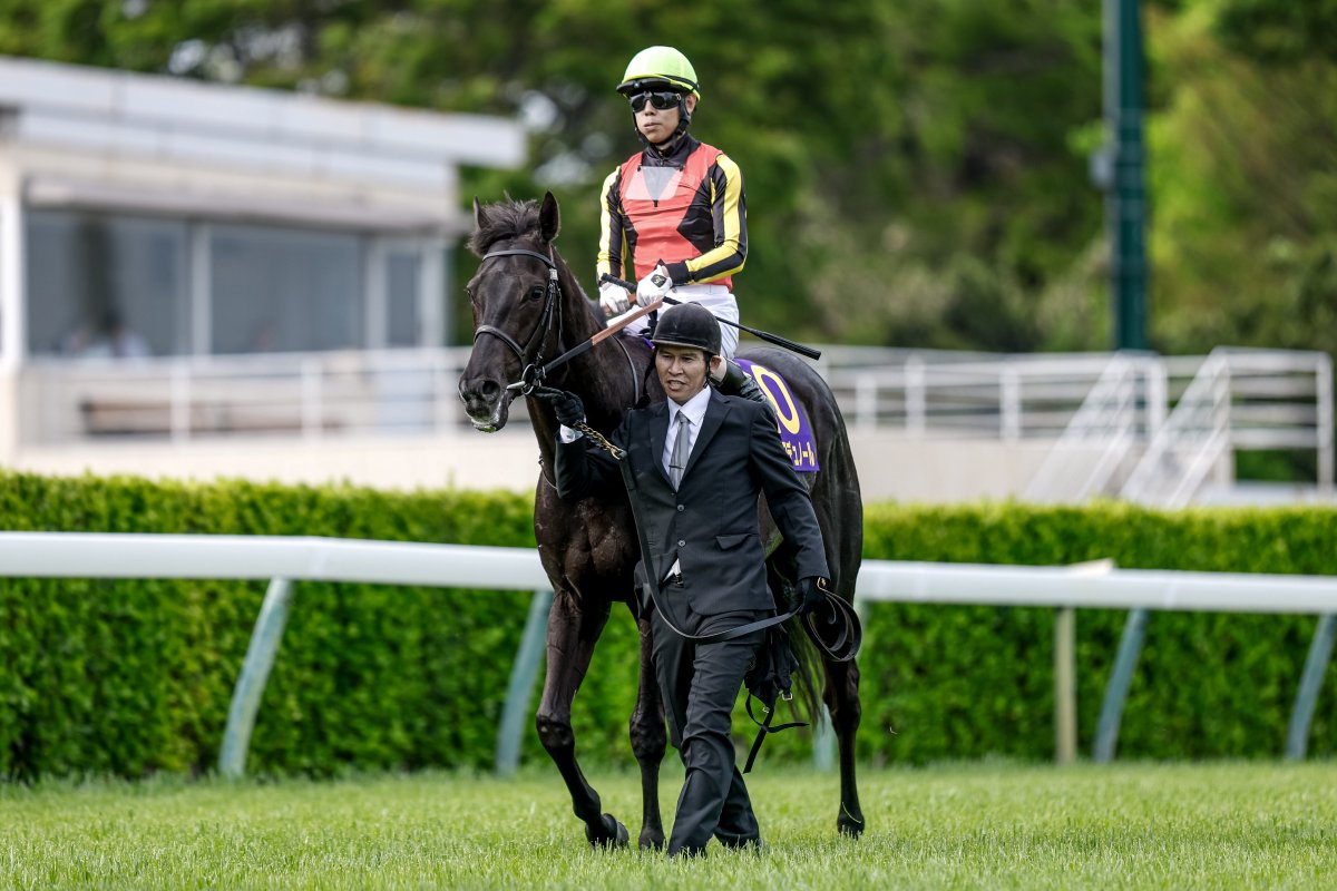 （趣）羅武斗兎 ページ 写真ご確認ください！ Stefano ステファノ (徳力捨不安) | Event: 冬コミケC105・1日目
