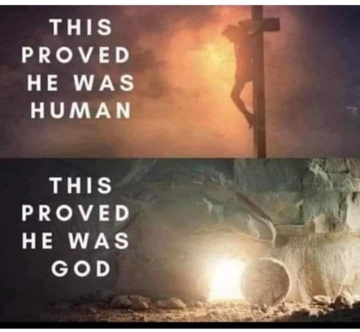 italiathetruth's tweet photo. https://t.co/Y8gHcW1bGh