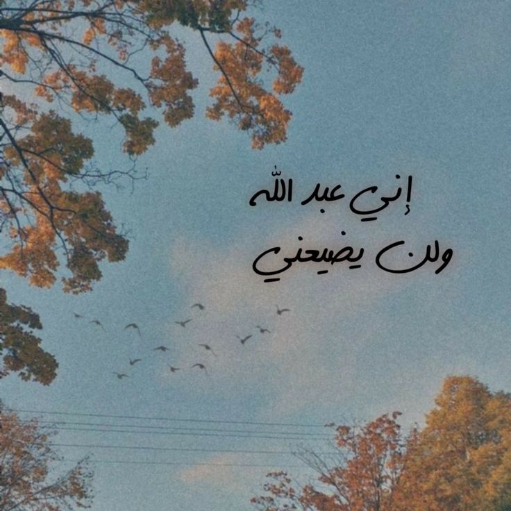 مُطمئِنةَ.! tweet media