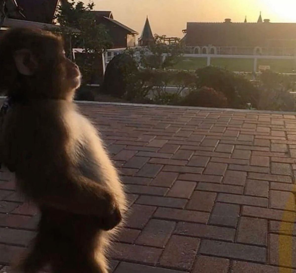 شعور الشمس بعد ما تتجمد ساعتين من مكيفات الدوام