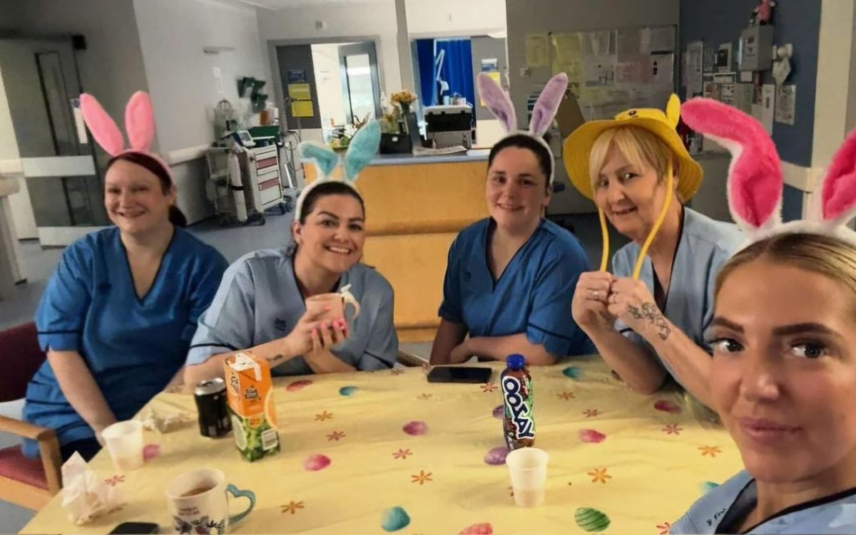 Arlene McNelis tweet media