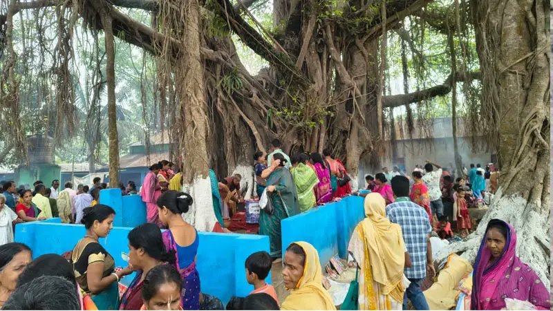 পাঁচ হাজার বছরের ঐতিহ্য বয়ে চলা রাজা বিরাটের মেলা এখন উৎসবমুখর
