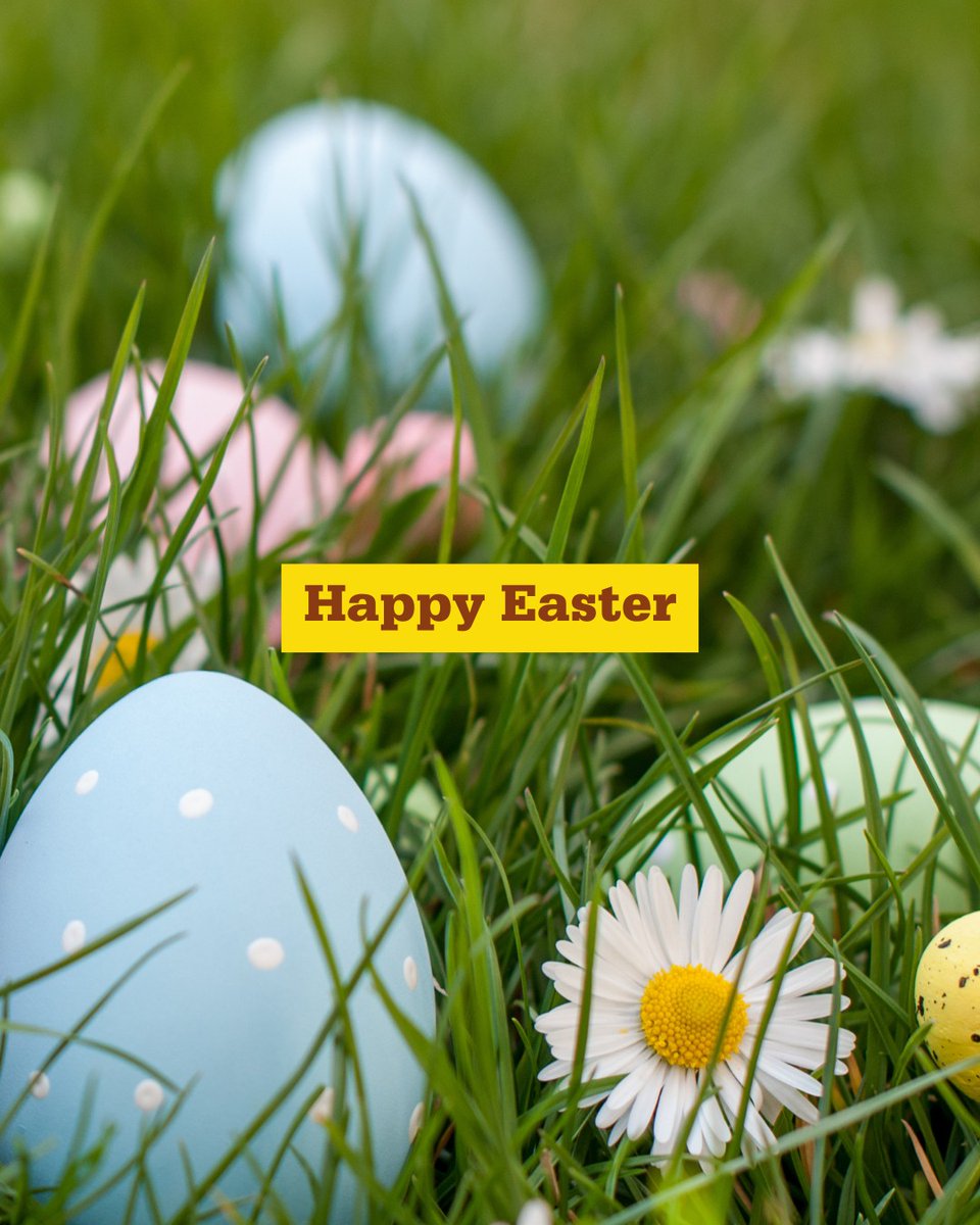 The IMechE Team (@imeche) on Twitter photo 🌸 Happy Easter🐰
Wishing everyone celebrating a joyful day filled with hope, renewal, and plenty of chocolate! 🍫✨ 
#HappyEaster 🌸 Happy Easter🐰
Wishing everyone celebrating a joyful day filled with hope, renewal, and plenty of chocolate! 🍫✨ 
#HappyEaster