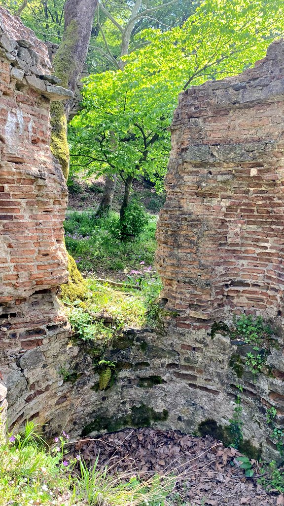 WaterLiliesofM's tweet photo. Keşke aramakla bulunsaydı .Her arayan buldu mu sanıyorsun?
#harabe #virane #tasavvuf #aşk #love #nature #spring https://t.co/6nrSV1wSHT