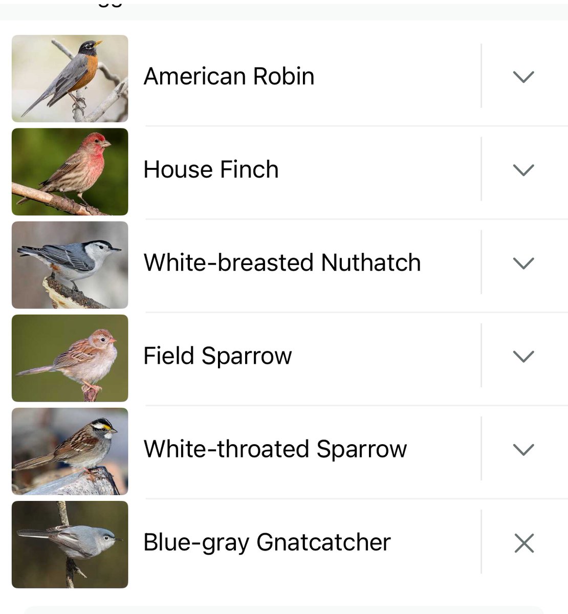 William “Bee” Stribling tweet media