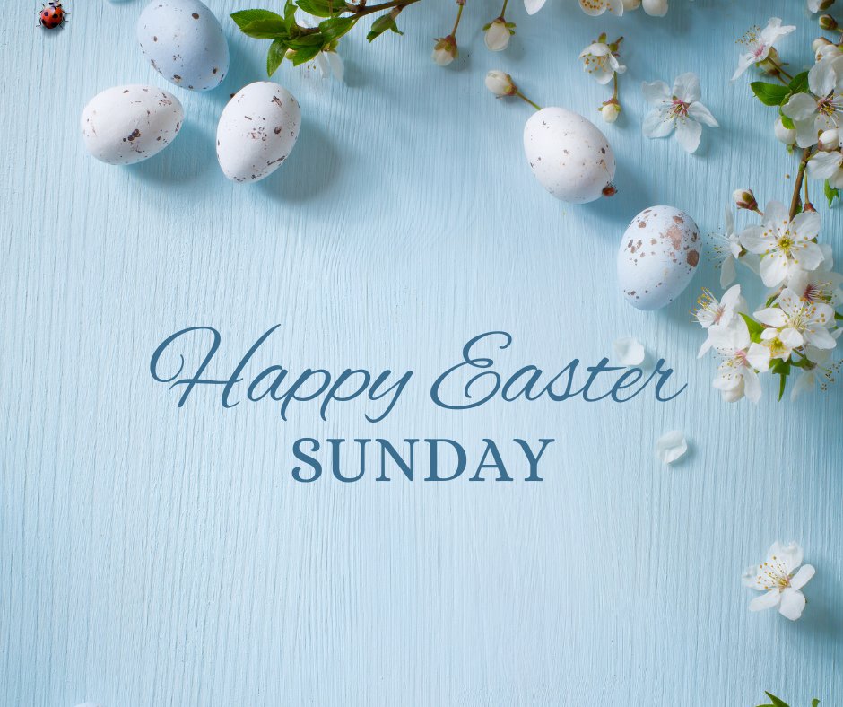 GroupSeaton's tweet photo. All of us at Seaton Construction would like to wish you a happy Easter🐇

#SeatonConstruction #HappyEaster #EasterSunday https://t.co/6QDVdNBb4S