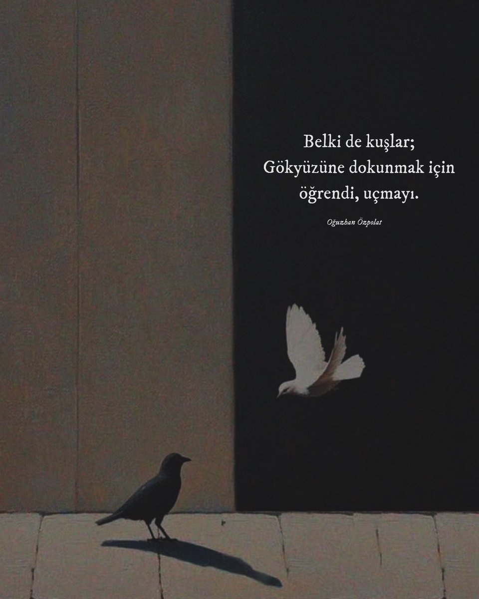 Oğuzhan Özpolat (@oguzhanozpolat) on Twitter photo 