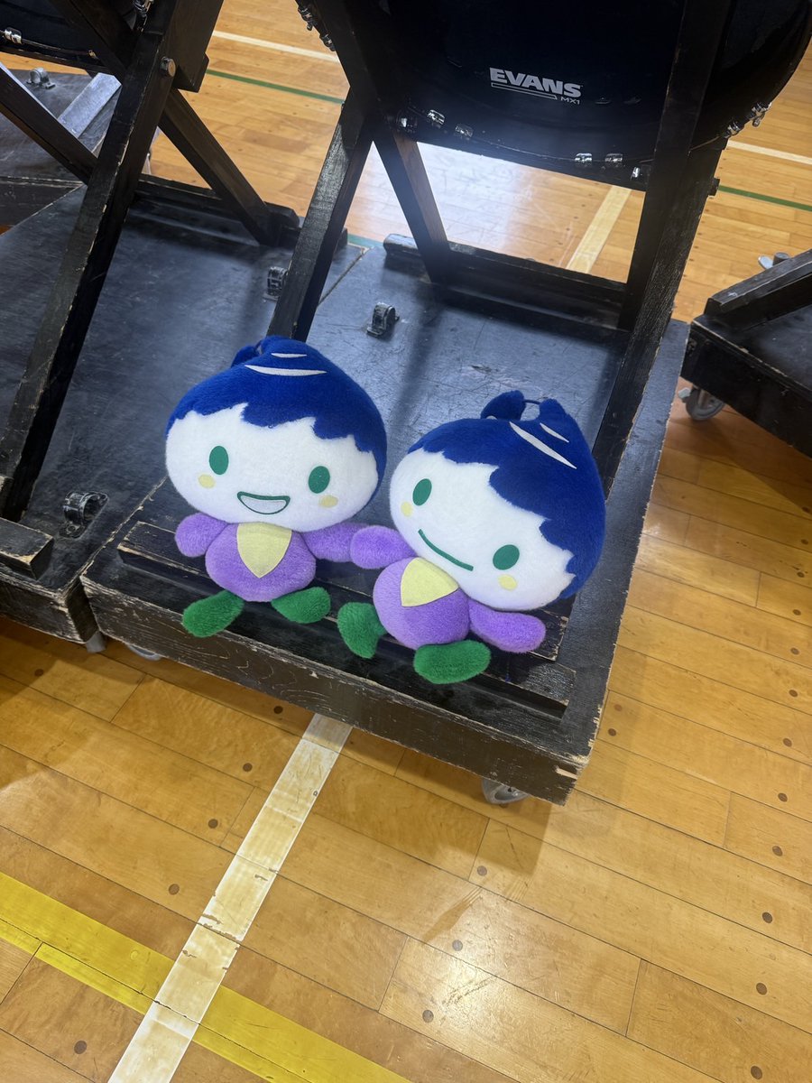 スリークロス関東CS
ゲストとして出演してきました！！

４曲披露させていただいたのと、横浜市泉区を知ってもらおう企画をしました😁
泉区のマスコットキャラクターいっずんを紹介しました✨