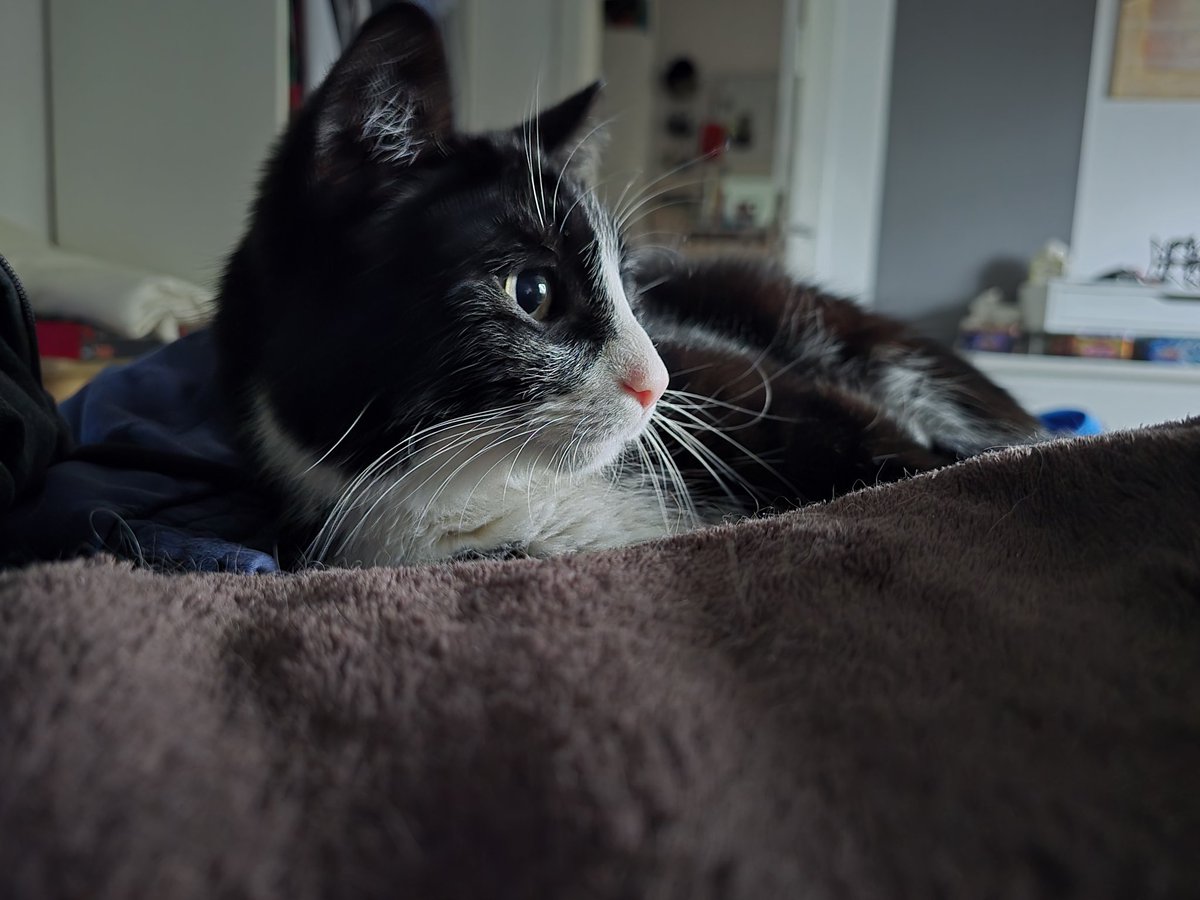 AkaHatena's tweet photo. Achja, typisch Feiertage.
Allein mit den Kadsis zu Hause chillen und die lieblichen Töne von streitenden Familien von nebenan hören. https://t.co/KD7DTe3jyW