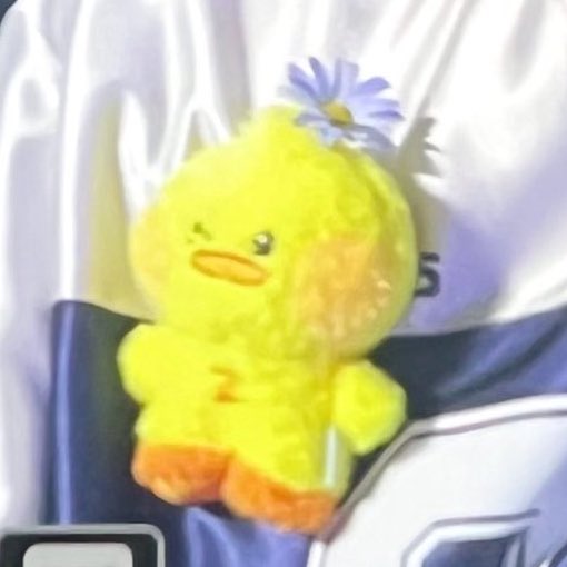 just realized taenini has a flower too on her hair🥺🤏🏼