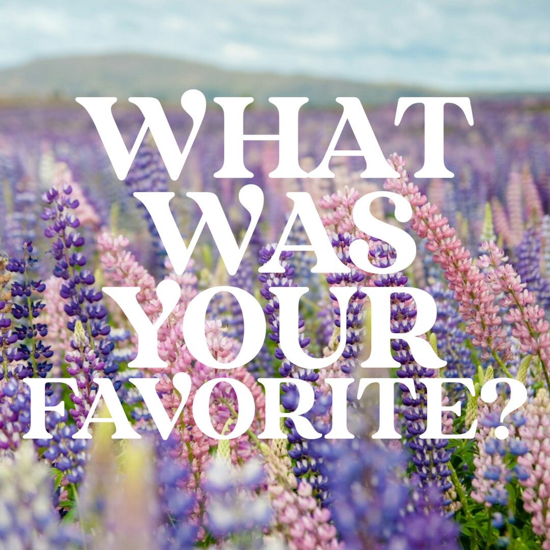 TGKuhr's tweet photo. April was packed with amazing promos! 🌸 From Citrus Bloom and Malama to the Spring Flash Sale.  

My favorite oil this month has been BALANCE because life has been a little challenging.   So grateful every day for my oils!

Link to order: https://t.co/MoxLbY3ZpS https://t.co/gnpOPIKni0