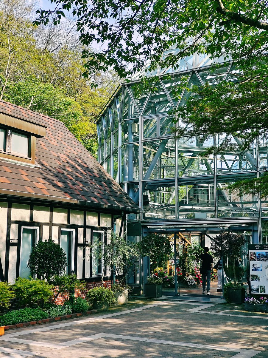 PzmanYang's tweet photo. 神戸布引ハーブ園🌿 
広大な敷地をロープウェイで山頂へ。そこから神戸の街並みを眺めながらの散策は最高✨ 二層の巨大なガラス温室は圧巻の美しさ！薬草実験室の神秘的な雰囲気も впечатляет。花盛りの季節にまた訪れたいな🌸 #布引ハーブ園 #神戸 #ハーブ園 #ロープウェイ #ガラス温室 #花 https://t.co/CCiyYWpFch