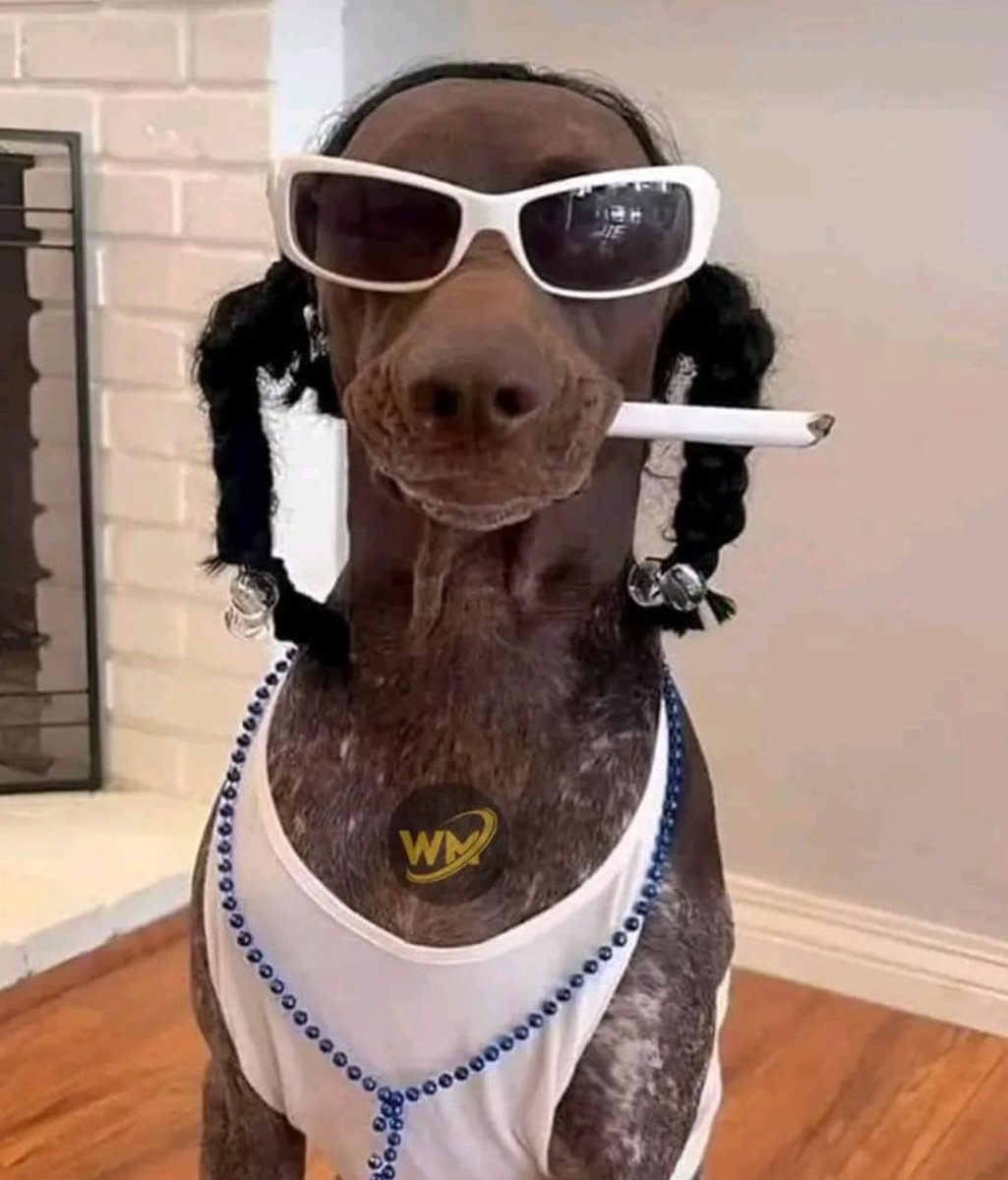 Only legends can recognise the rapper 😂 American