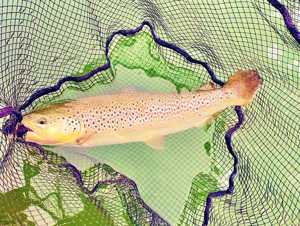 ePo5PiKSGE22190's tweet photo. 4/20(日)

楽しい1日でした🎣

#嵐山フィッシングエリア #neoSTYLE #ネオスタイル #EMT #バチプロ #縦釣り #エリアトラウト #DAIWA #釣り #釣りガール #つりすたぐらむ #🎣 #上州屋 #右京店 #栗東店 #BBQ #来週は美濃さん予定 #Avicii命日 https://t.co/yQelNV2OsW