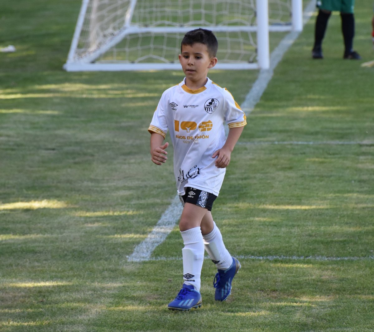 🏆⚽️ ¡6 campos de F7! ¡6 partidos simultáneos jugándose para poder llevar a cabo las dos categorías de la Copa Internacional Rioseco <a href="/Caramanzana/">caramanzana</a>! Mucho fútbol a la vez y grandes partidazos que elegir para ver...¿Te lo vas a perder?

#CopaRioseco #MedinaDeRioseco #LaMudarra