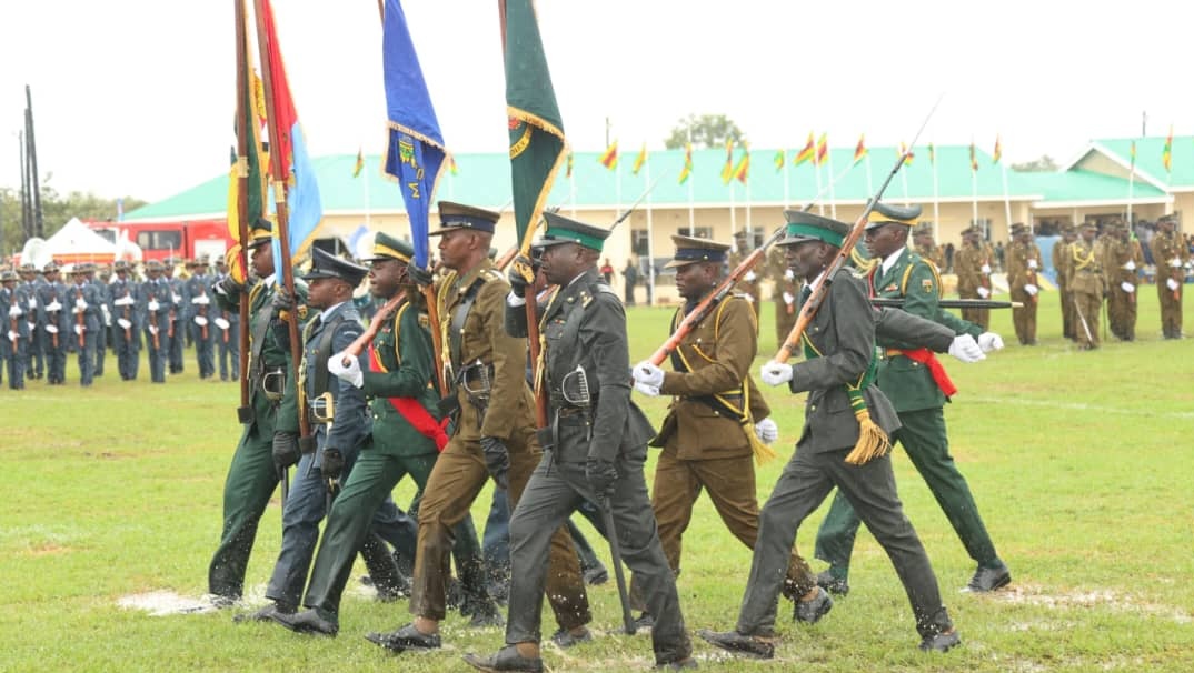 Dereck Goto tweet media