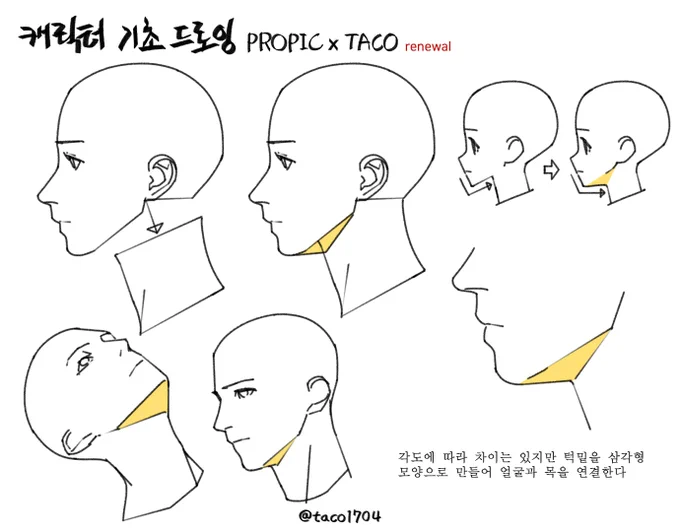 각도에 따라 차이는 있지만 턱밑을 삼각형 모양으로 만들어 얼굴과 목을 연결한다 
角度によって差はあるが、あごの下を三角形にして顔と首を連結する 