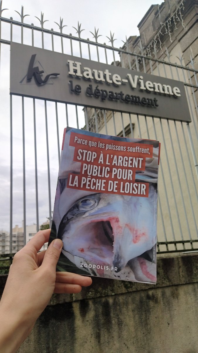 paz_zoopolis's tweet image. 🎣 #Limoges : Hier, PAZ organisait une action de sensibilisation devant le Département de #HauteVienne.
💸 198.135€ d'argent public versés entre 2017 et 2023 pour une activité qui fait souffrir les animaux. #PêcheDeLoisir
👉 L’argent public ne doit pas financer la cruauté.