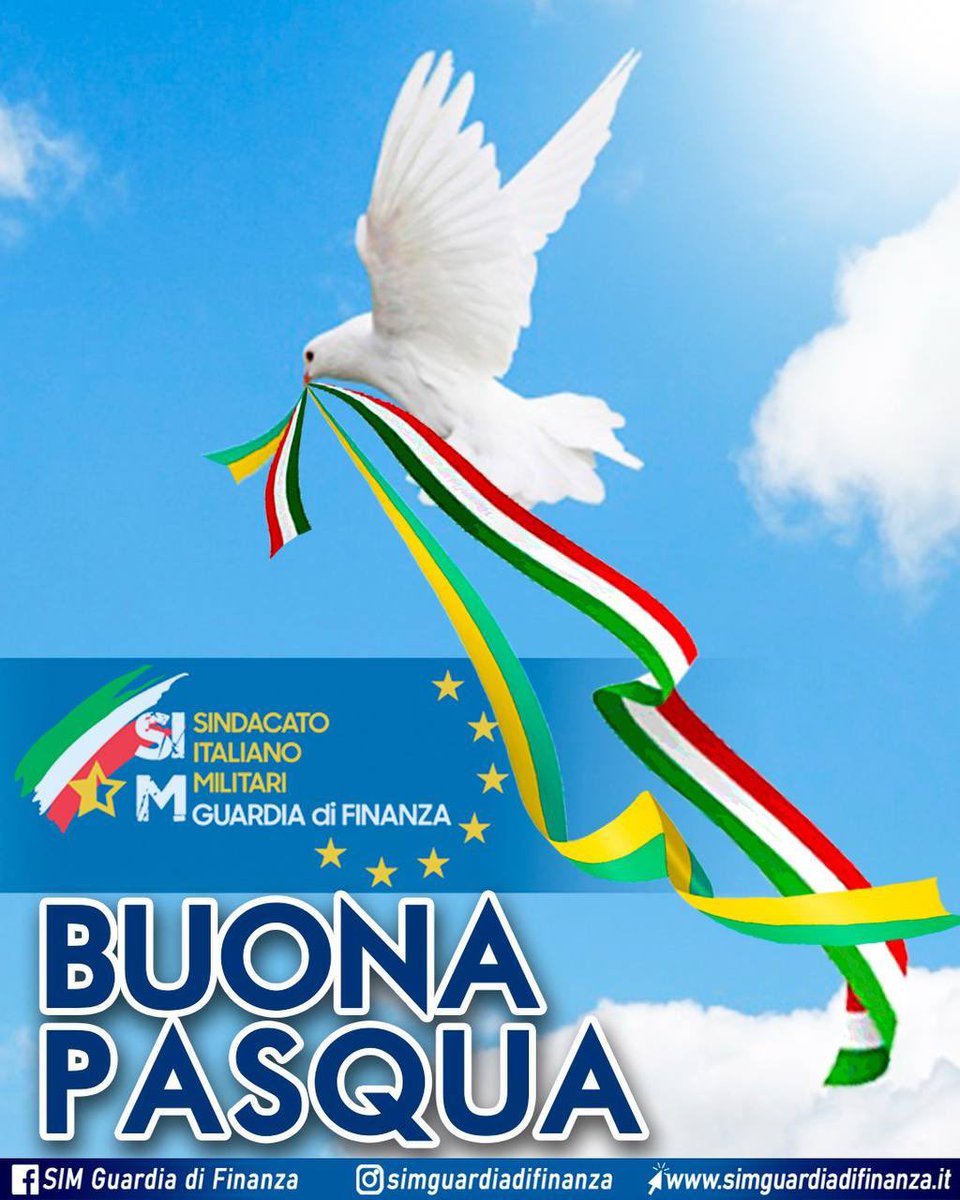 SIM Guardia di Finanza tweet media