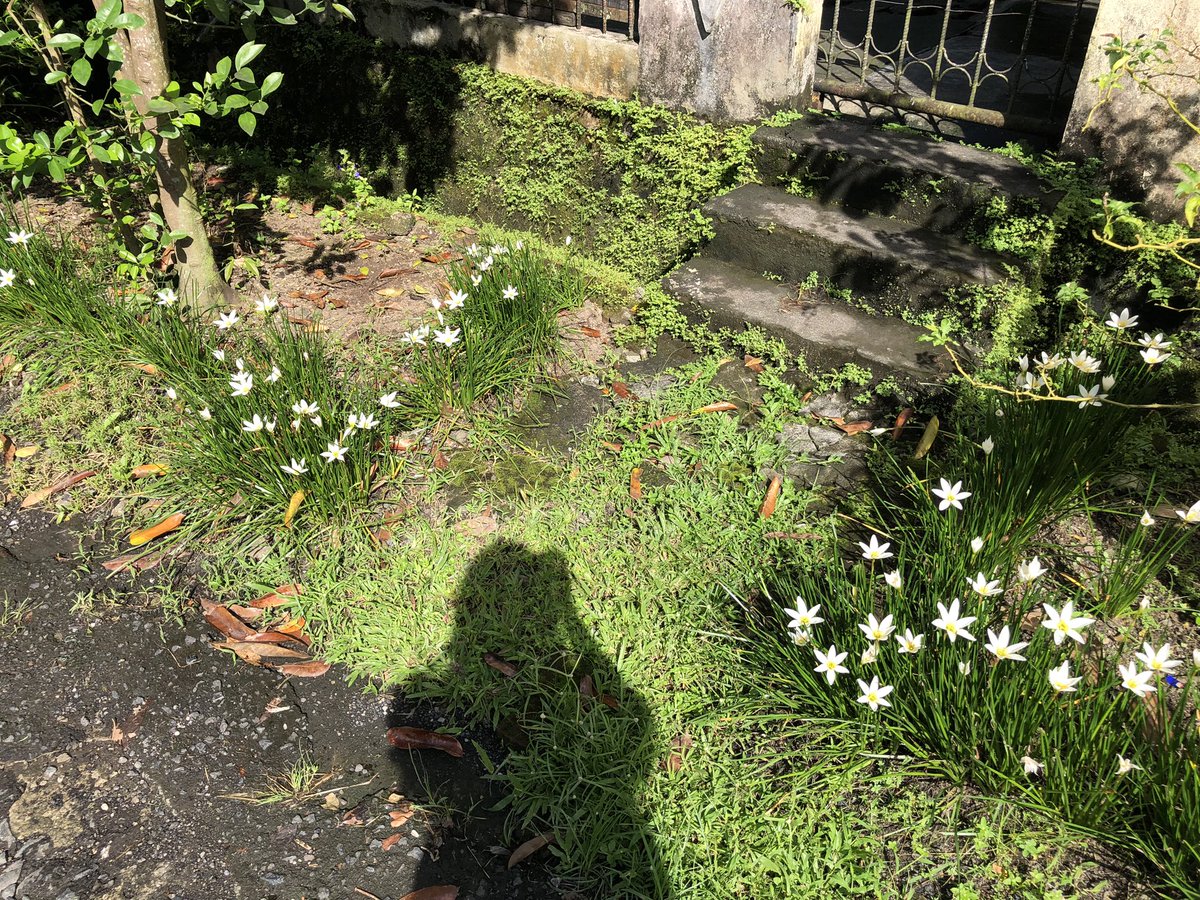 cosmosbeckons's tweet photo. Today I walked https://t.co/sC2yL8dnUc