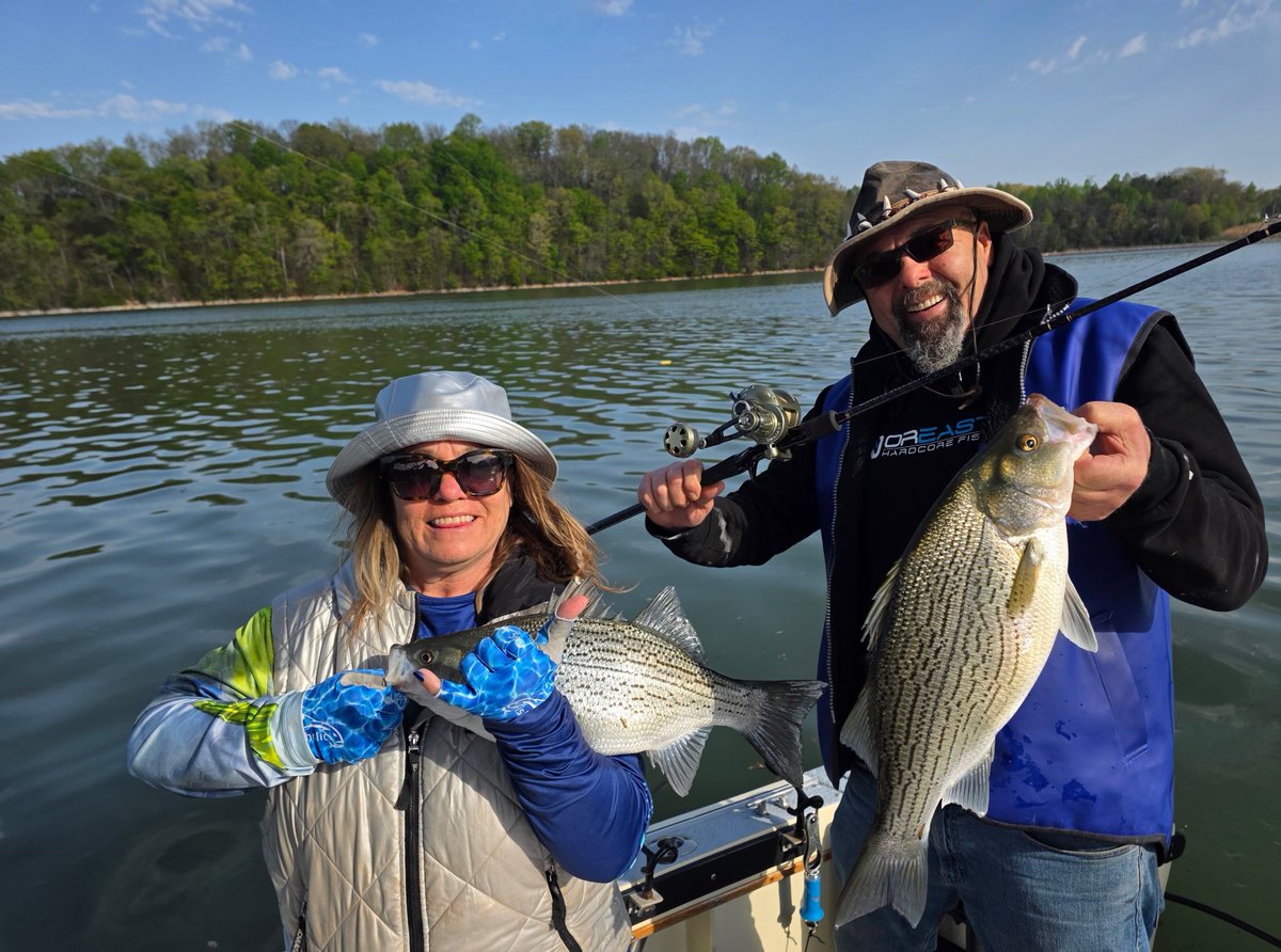 Ahhh poor little thing have you looked in the mirror after that comment lol 🤡🤦🤦🤦🤦🤦