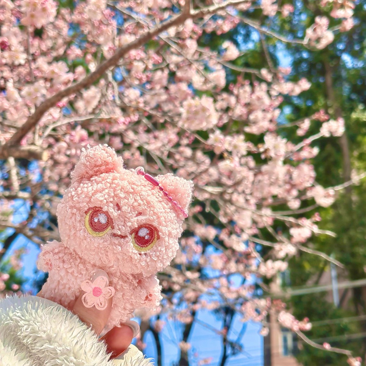 -ˋˏ tanniemallowsph's jay day giveaway ˎˊ-

• one winner of 10cm jay inspired pink jacket set 
• one winner of 8cm pink curly jjongmi doll

1. mbf <a href="/TannieMallowsPH/">tanniemallows ;</a> &amp; <a href="/TannieMallowsGO/">tannie ;</a>
2. rt &amp; reply with jay bday tags

— ends: 04.25 ; 6pm
— ph only

#TMPH_GiveAway