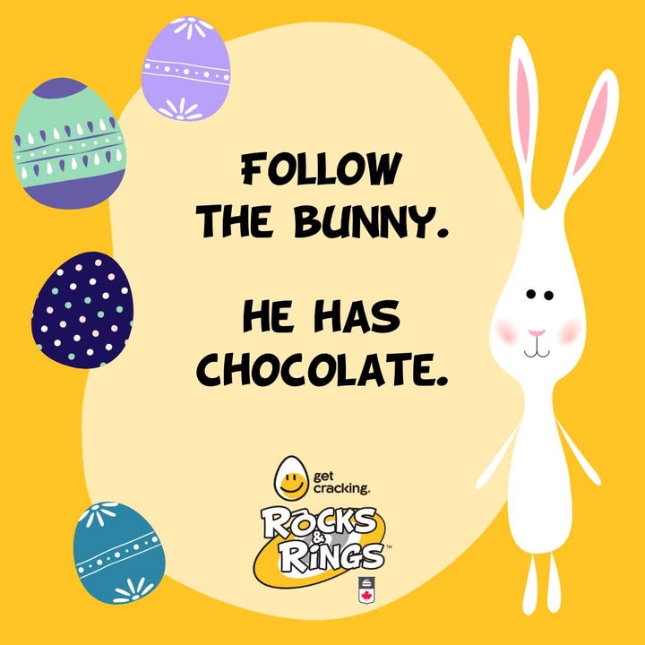 Rocks & Rings (@rocksandrings) on Twitter photo Happy Easter from all of us at Rocks & Rings! Don't forget to cook up something creative and submit a picture to our friends at <a href="/GetCracking/">Get Cracking</a> to enter their Spring Into Recipes contest ➡️ getcracking.ca/easter
#EggCiting #SpringIntoRecipes #HappyEaster Happy Easter from all of us at Rocks & Rings! Don't forget to cook up something creative and submit a picture to our friends at <a href="/GetCracking/">Get Cracking</a> to enter their Spring Into Recipes contest ➡️ getcracking.ca/easter
#EggCiting #SpringIntoRecipes #HappyEaster