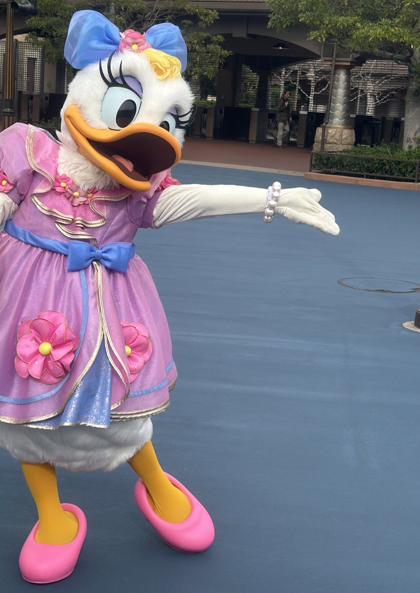 maco_rapunzel's tweet photo. この前行った時推しのラプンツェルにも会えて幸せでした🫶 https://t.co/gOAs8DrZIq