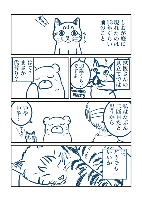 しおちゃん、2代目疑惑。 