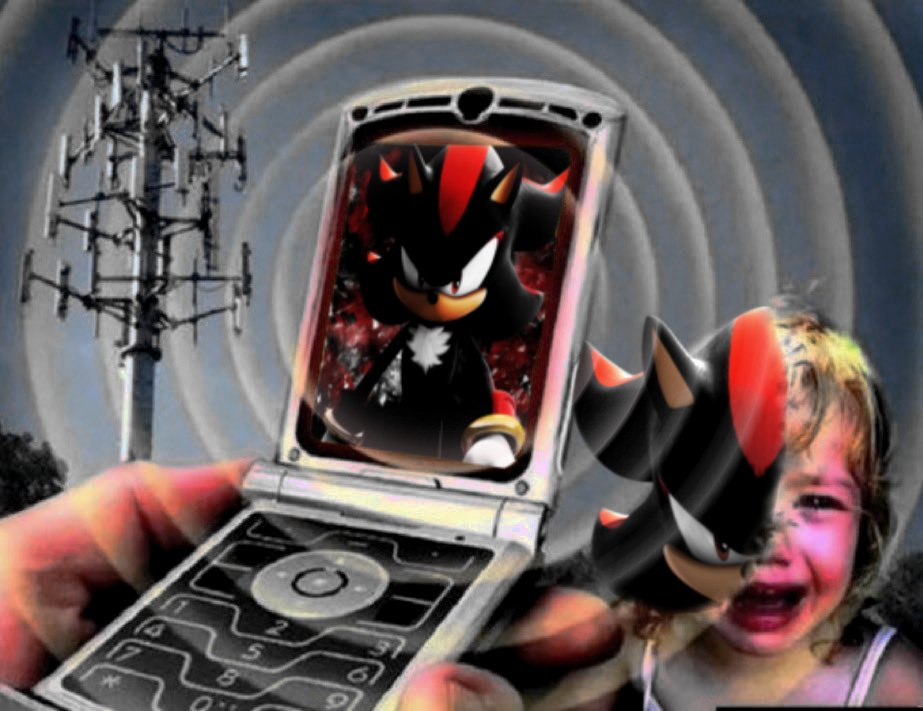 #1 Shadow The Hedgehog Fan (@realshadowfan01) on Twitter photo 